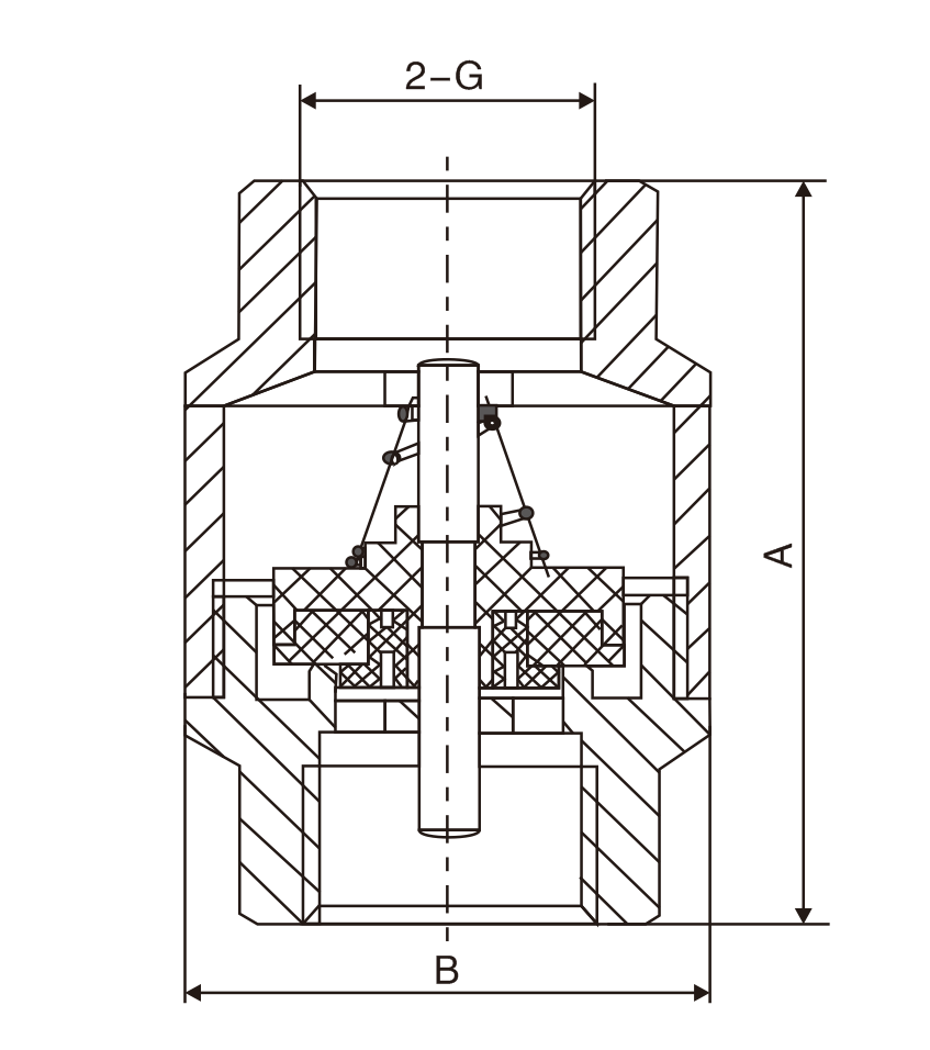 黃(huang)銅立式止(zhǐ)回閥(圖1)
